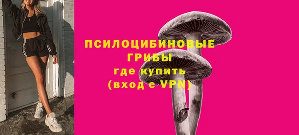 дурь Арсеньев